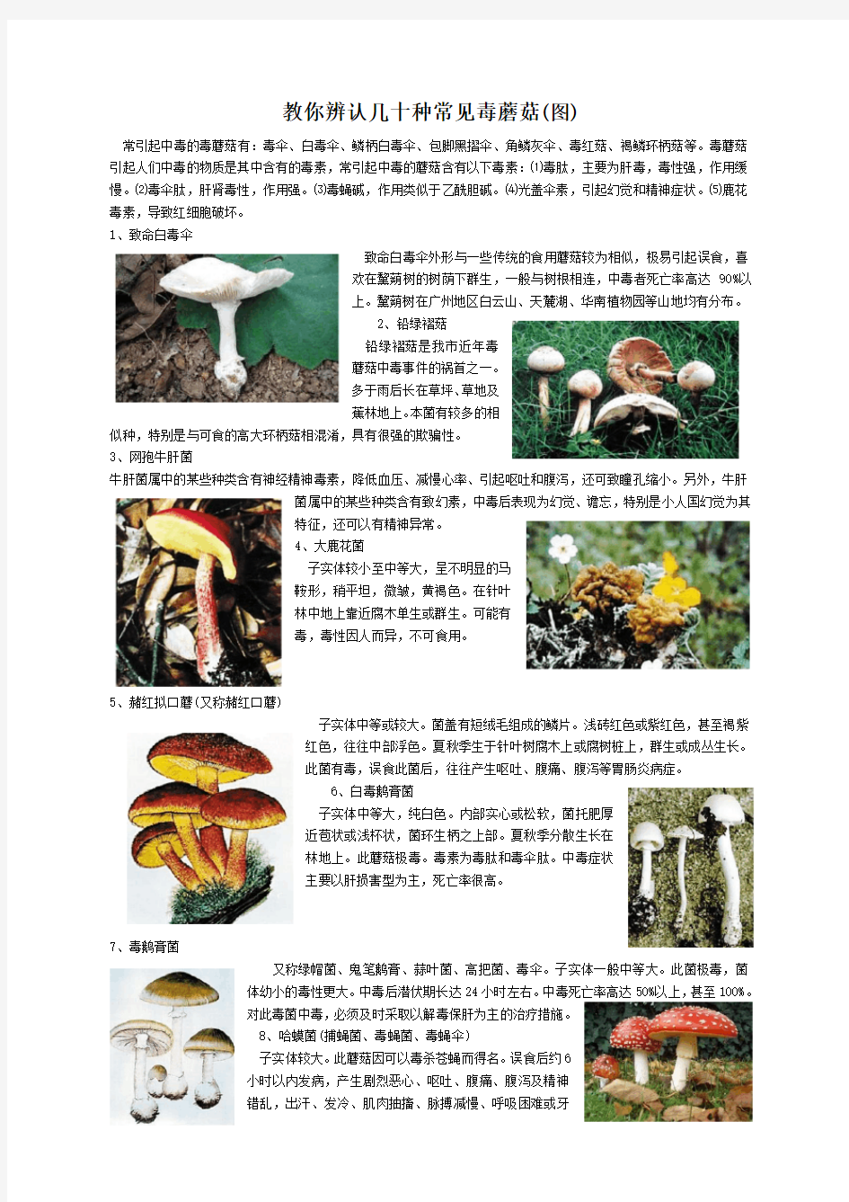 教你辨认几十种常见毒蘑菇