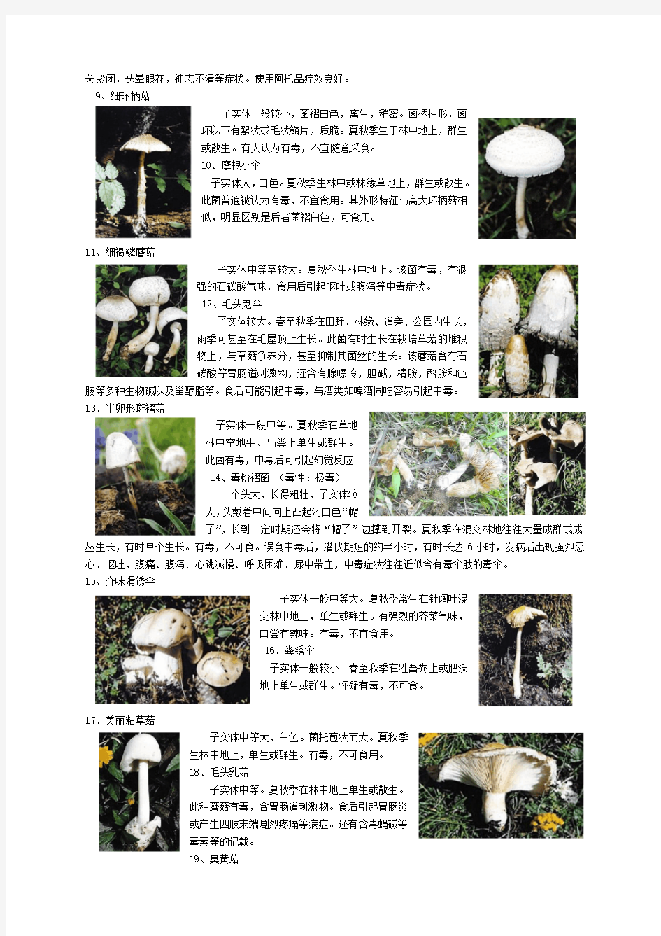 教你辨认几十种常见毒蘑菇