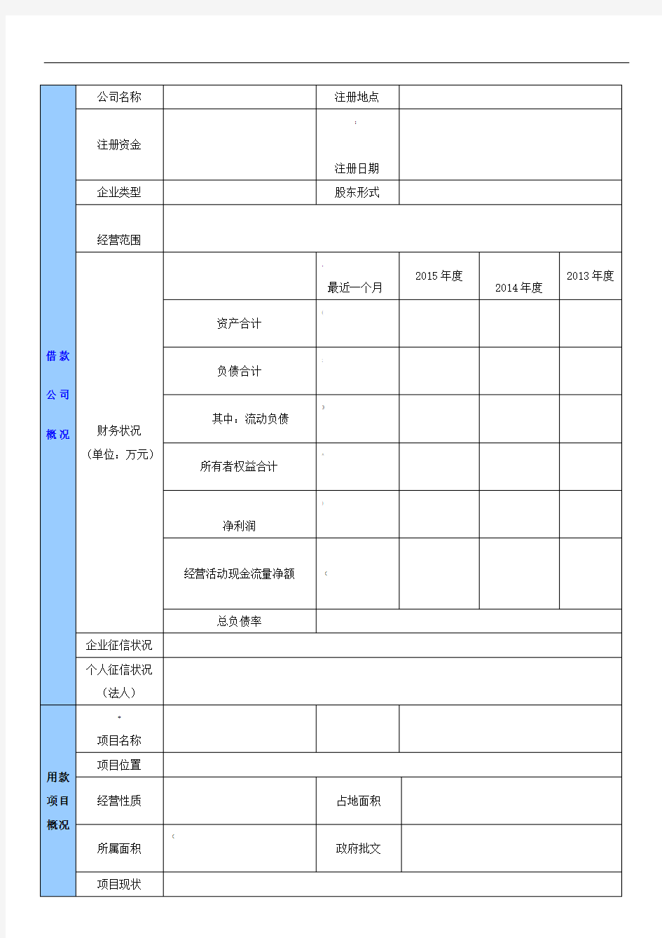 房地产项目融资申请表