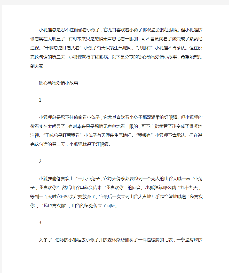 暖心动物爱情小故事