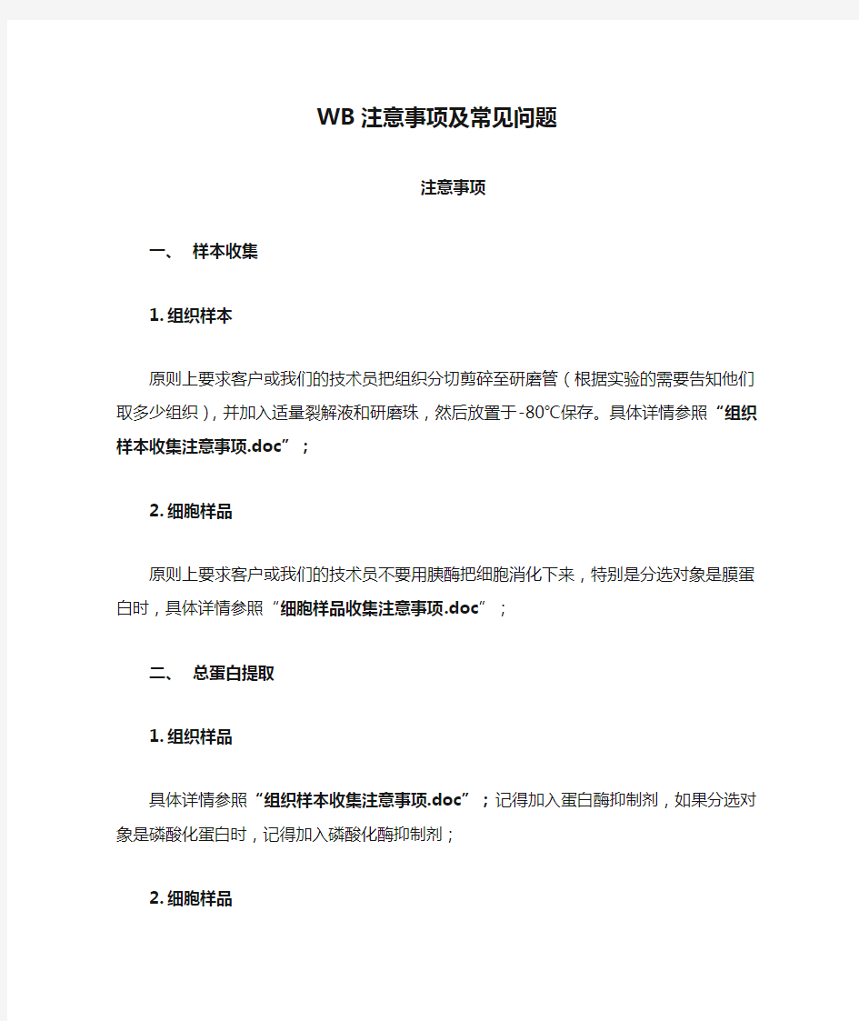 WB注意事项及常见问题