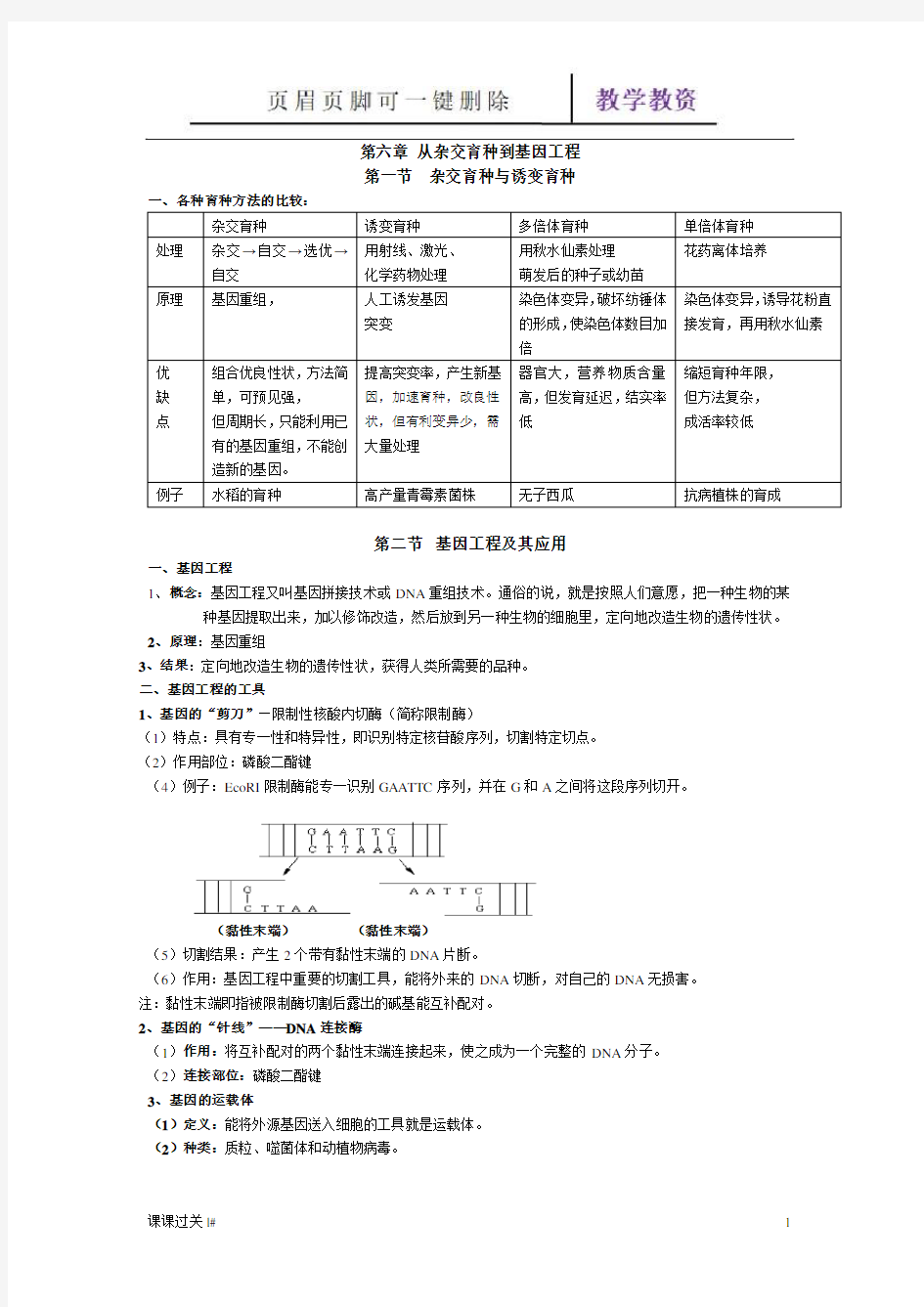 高中生物必修二第六章从杂交育种到基因工程知识点(谷风教育)