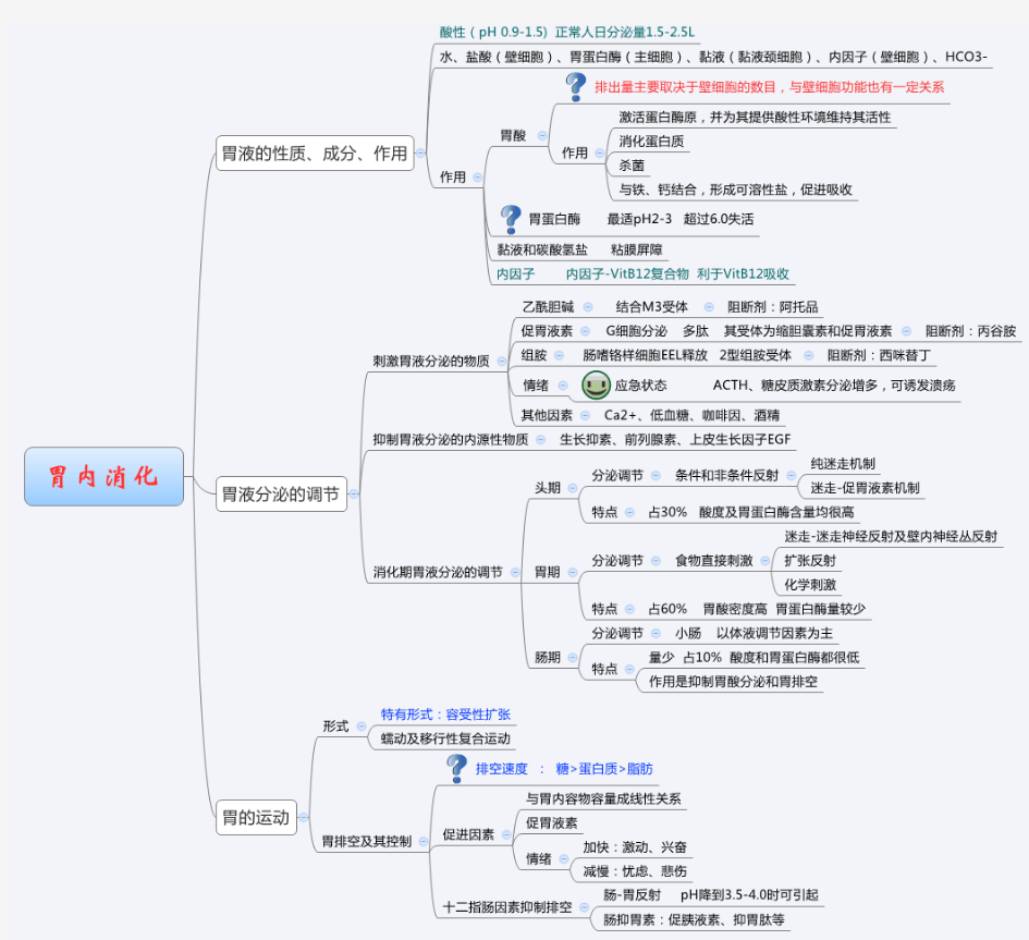 5.2胃内消化 生理学思维导图