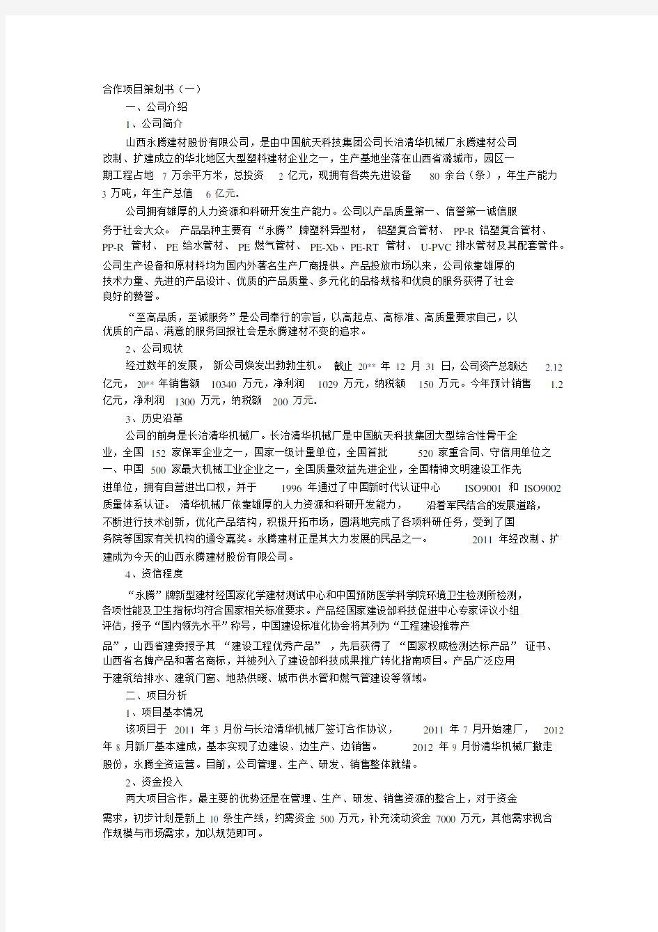 合作项目策划书