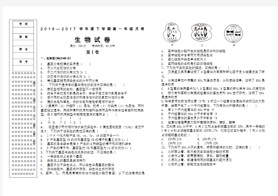 高中生物必修二生物试题带答案 