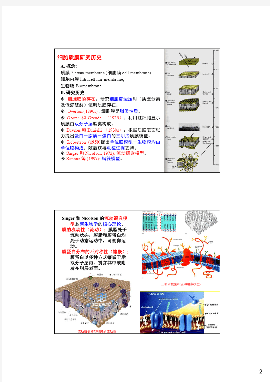 第4章 细胞膜与跨膜运输 西北农林科技大学