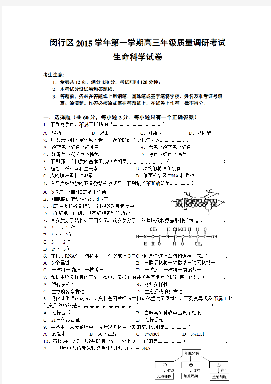 上海市闵行区2016届高三上学期期末质量调研考试(一模)生物试卷