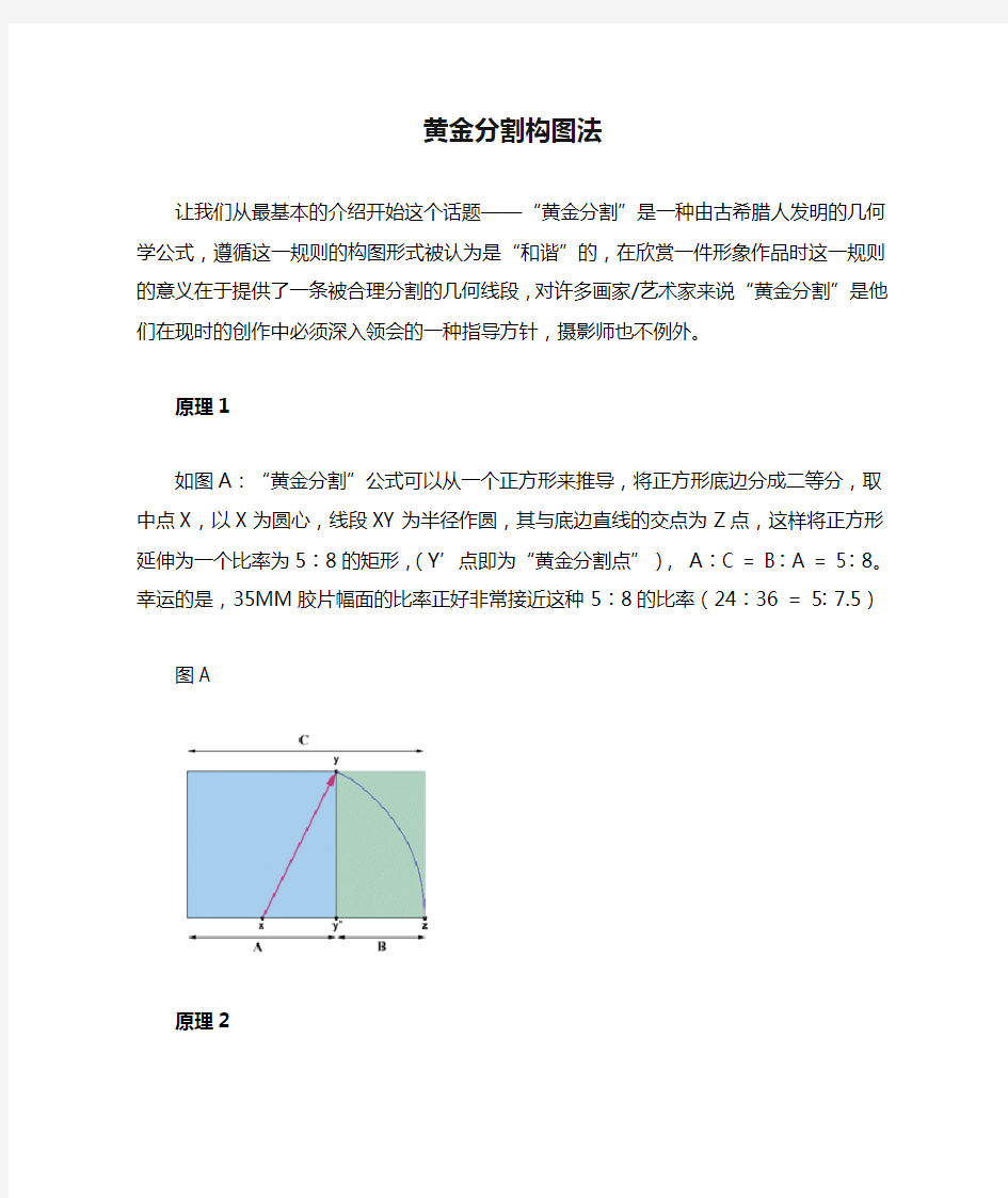 黄金分割构图法(新)