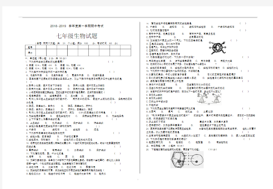 初一生物期中考试试题及答案