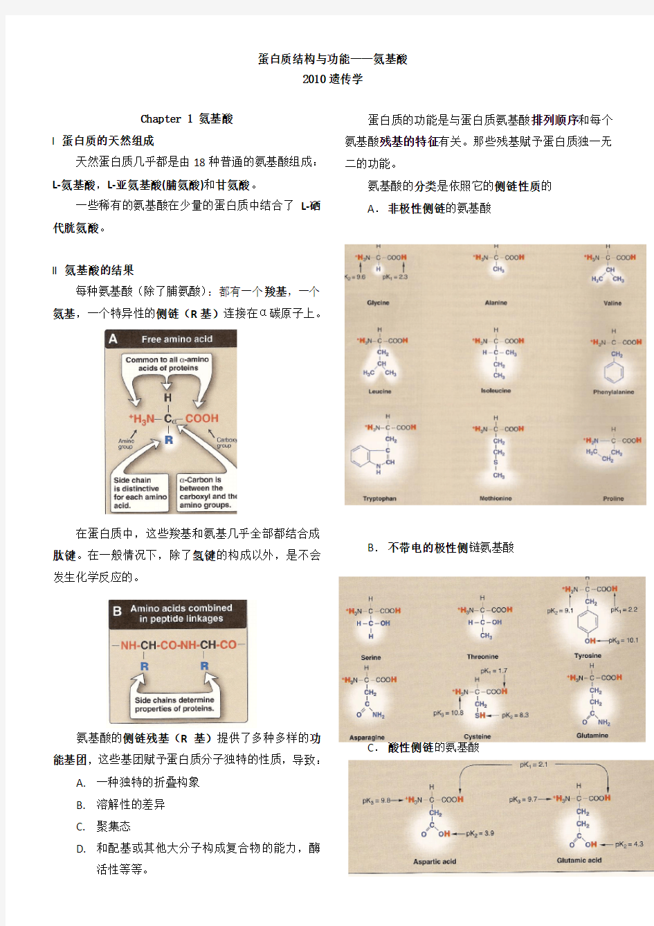 1.蛋白质结构与功能-----氨基酸