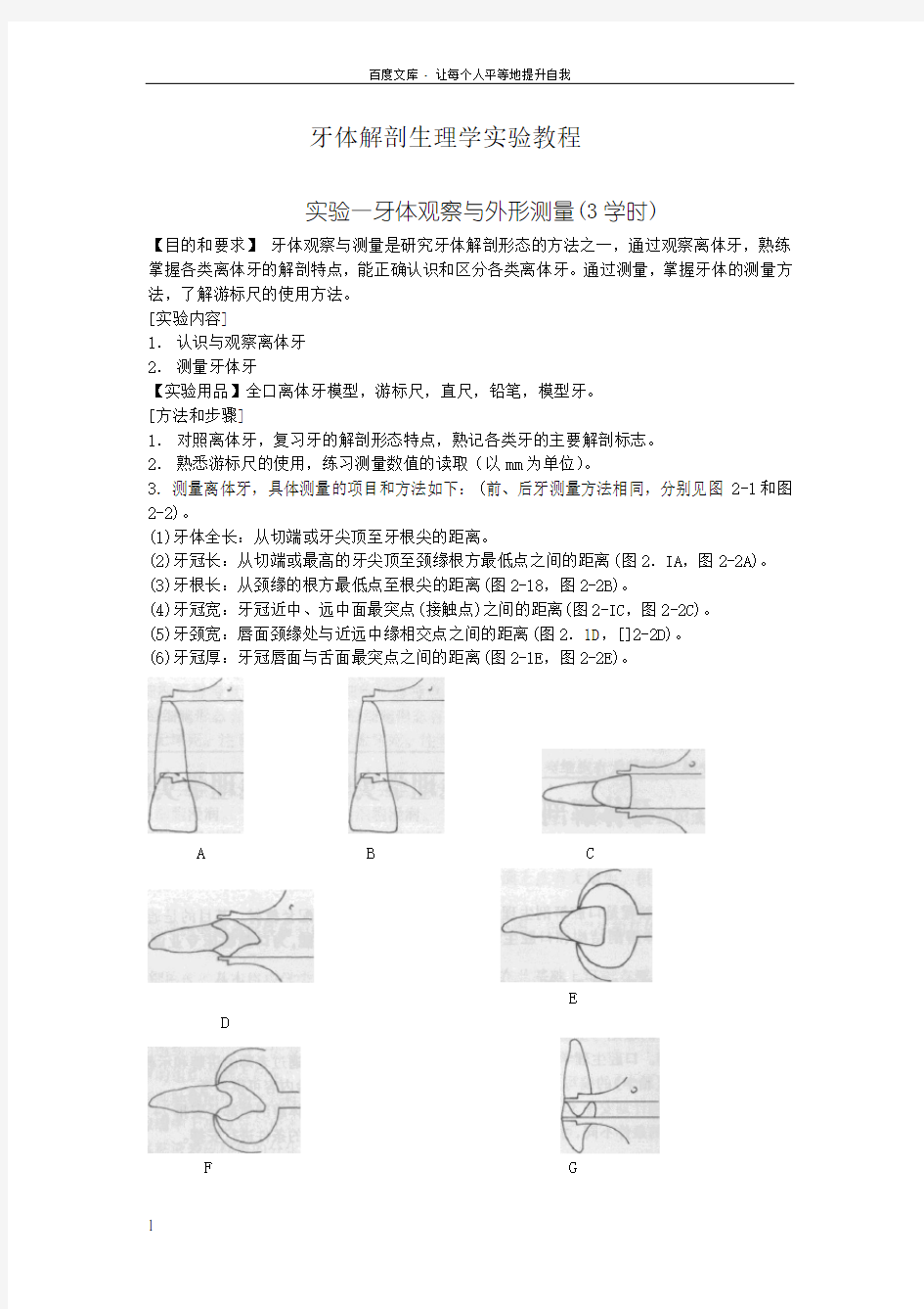 口腔解剖生理学实验指导