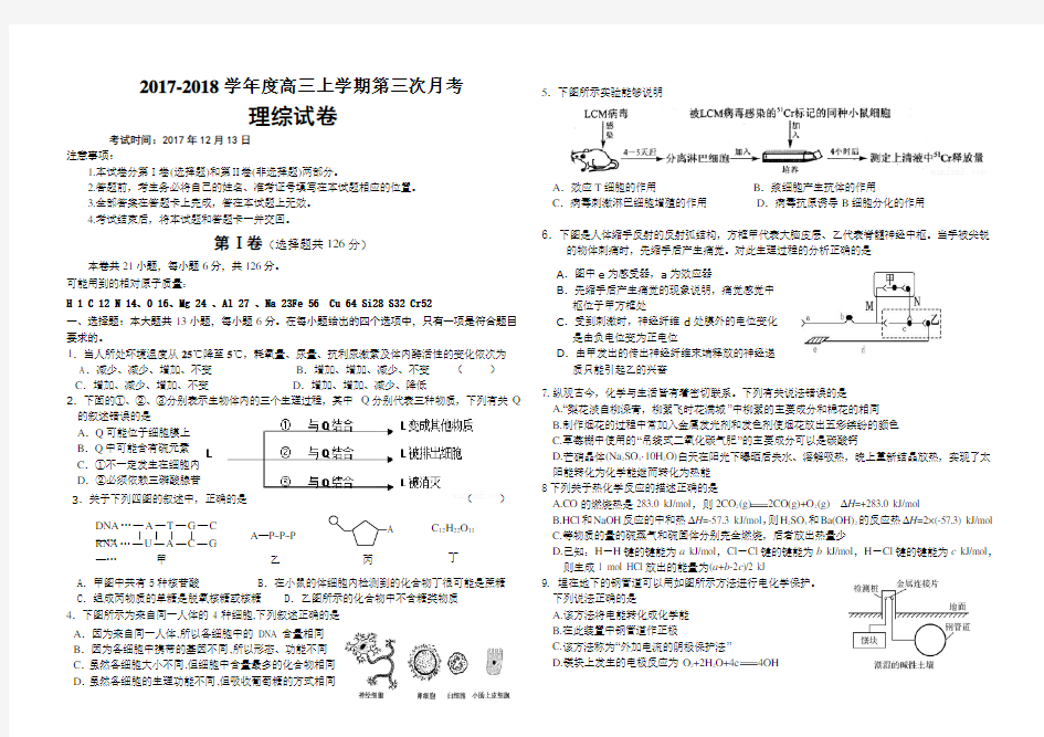 高三理综模拟试卷带完整复习资料