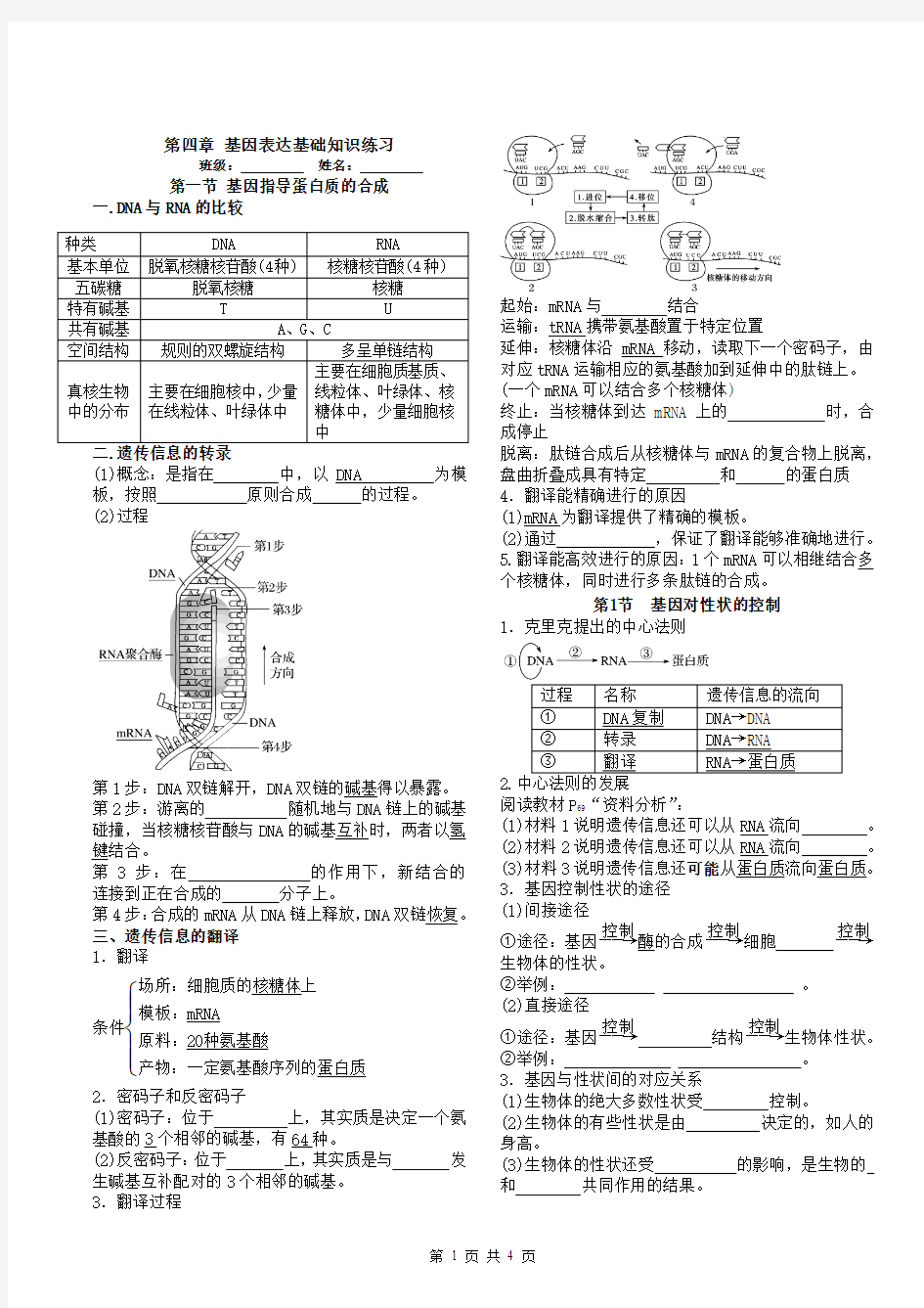 高中生物必修二第四章基础知识练习