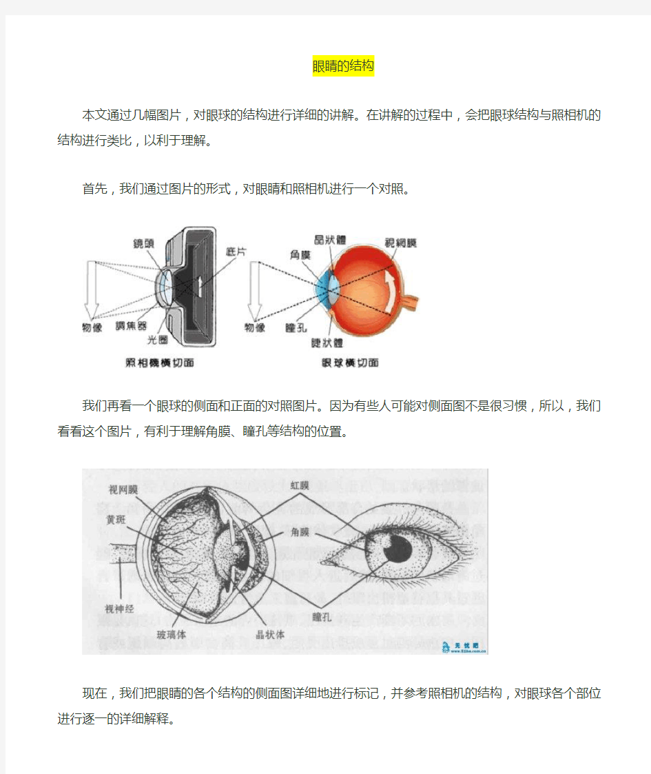 眼睛结构详解