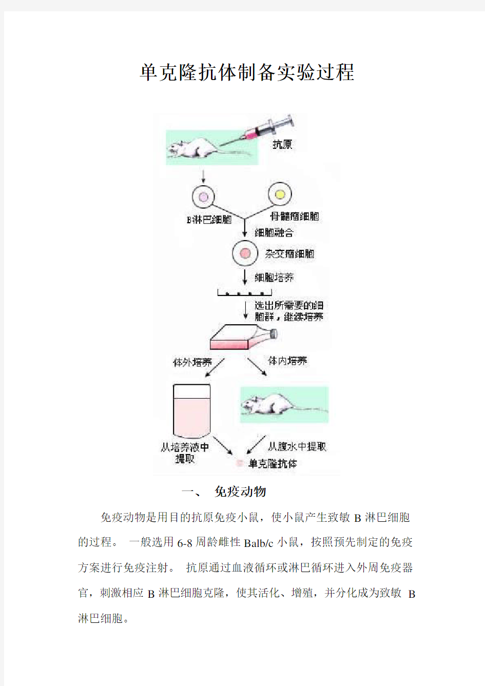 单克隆抗体制备实验过程