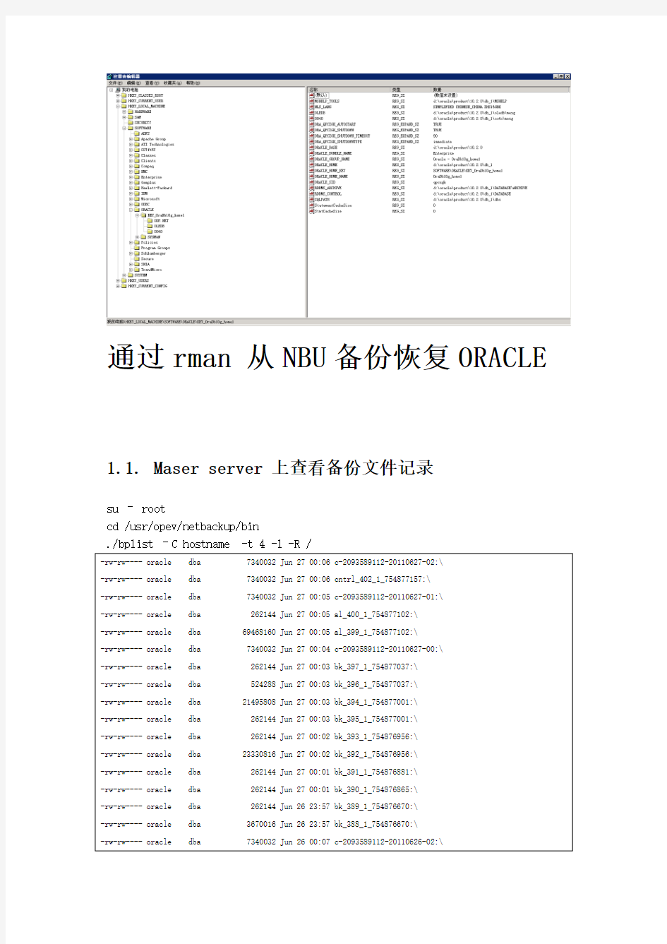 Netbackup_for_Oracle_异机恢复_实施手册