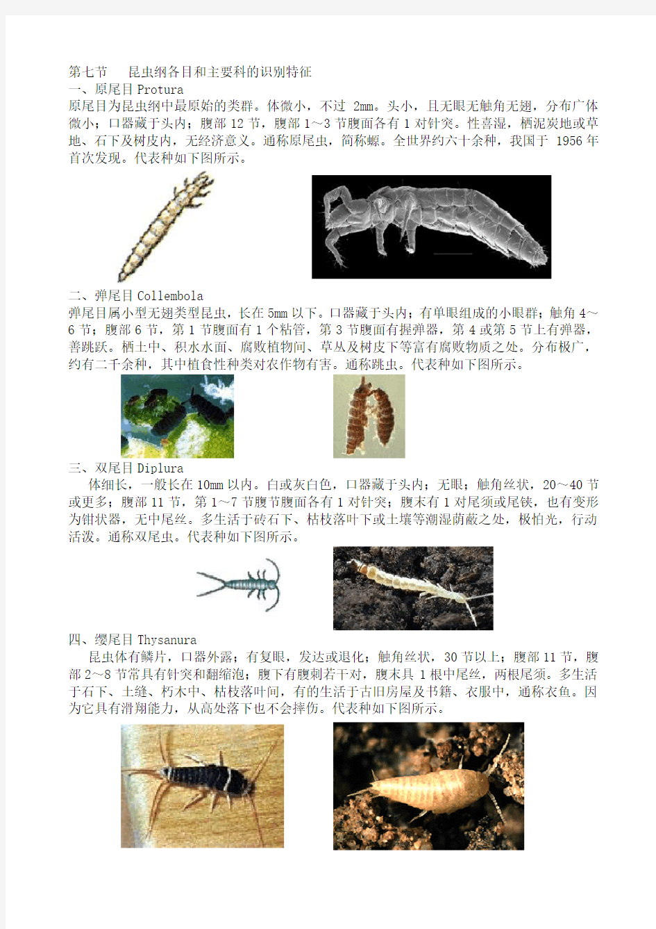 最全面的昆虫纲各目和主要科的识别特征