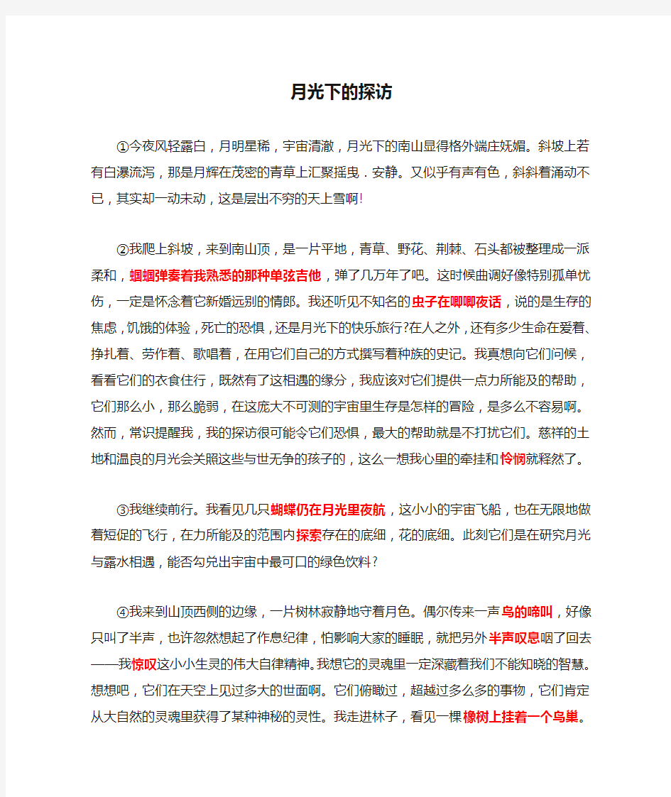 《月光下的探访》初中现代文阅读解析