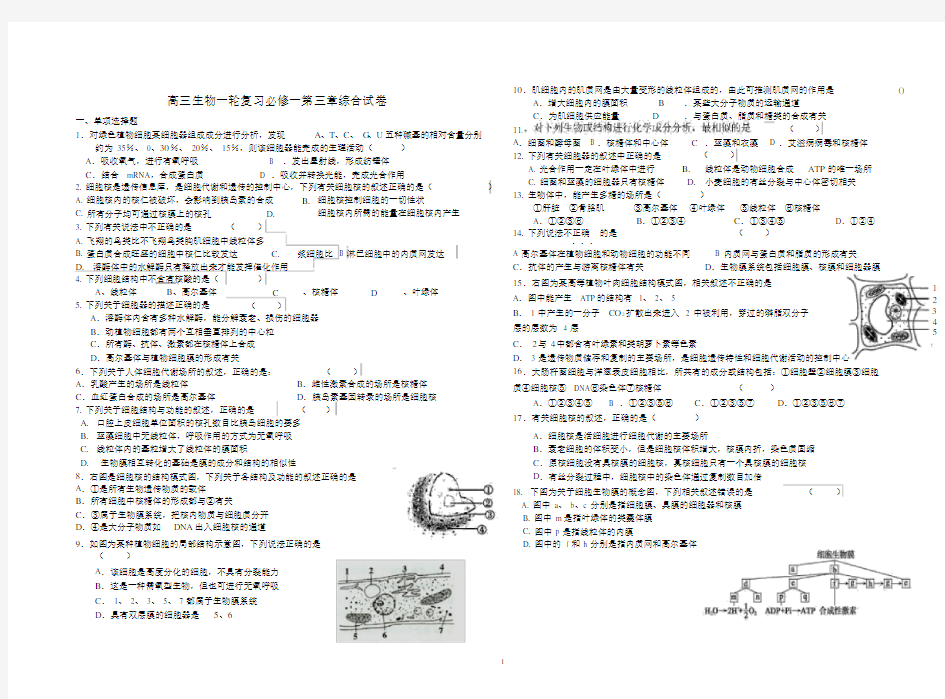 高中生物必修一第三章练习题与答案