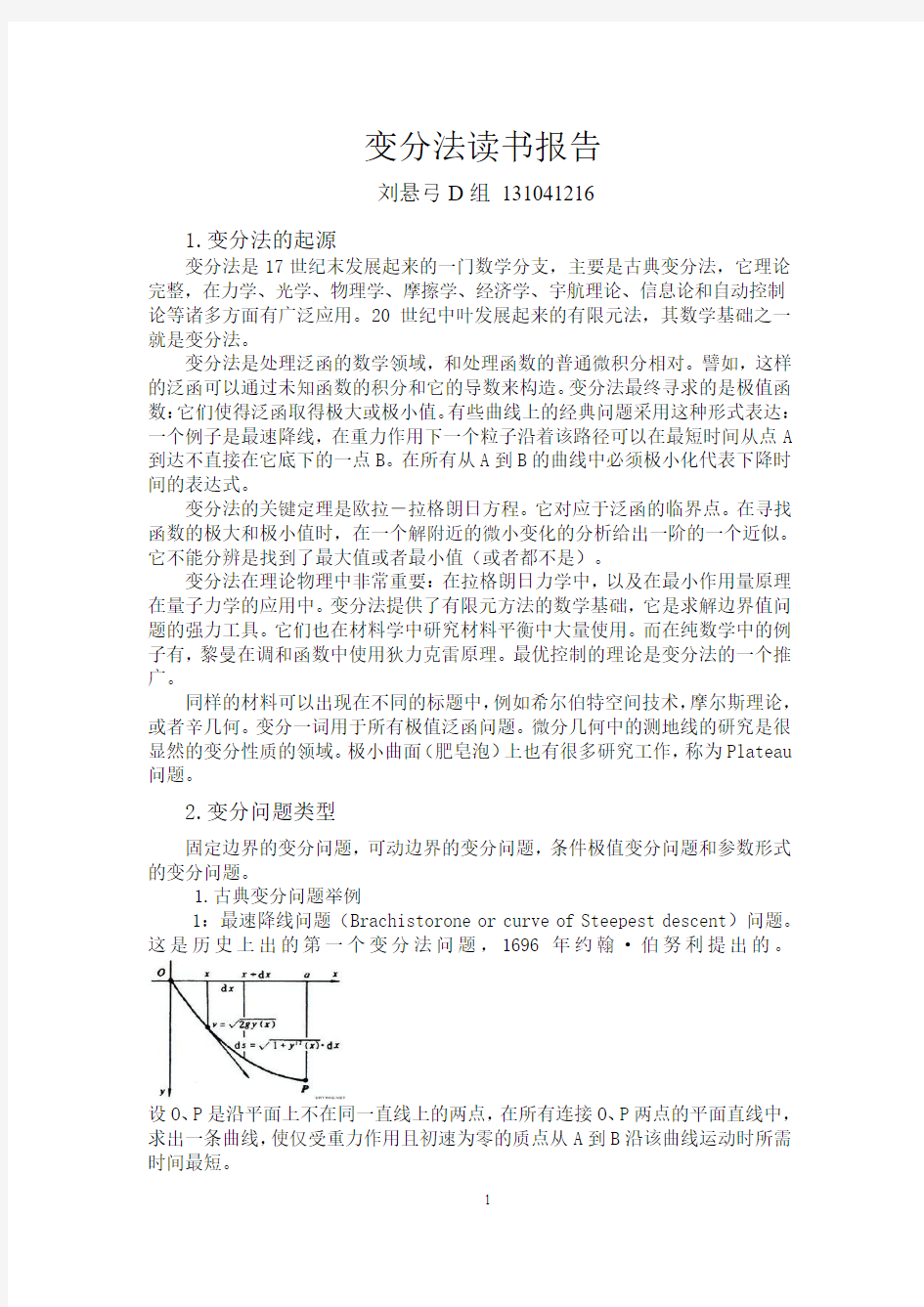 变分法读书报告