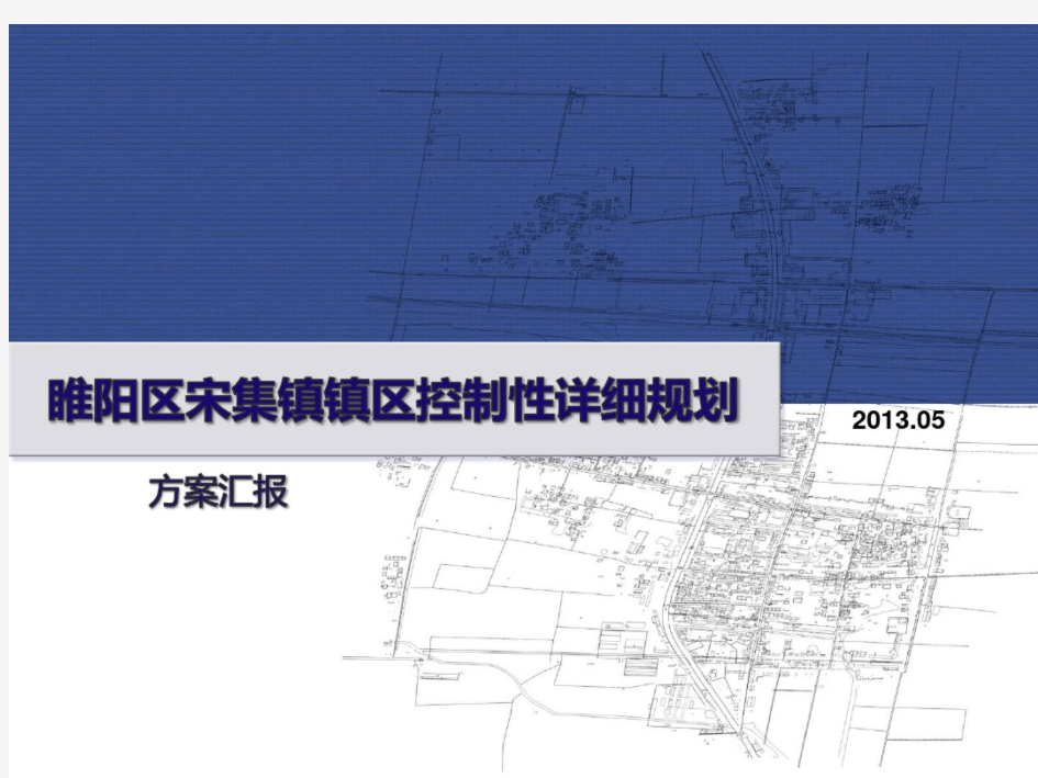 安阳城乡改造控制性详细规划方案汇报(图文并茂)