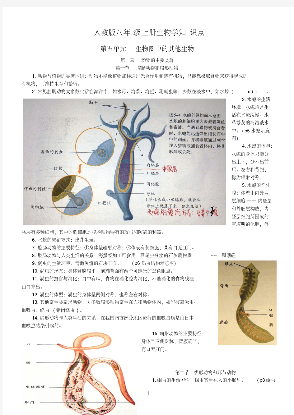 人教版八年级上册生物学知识点