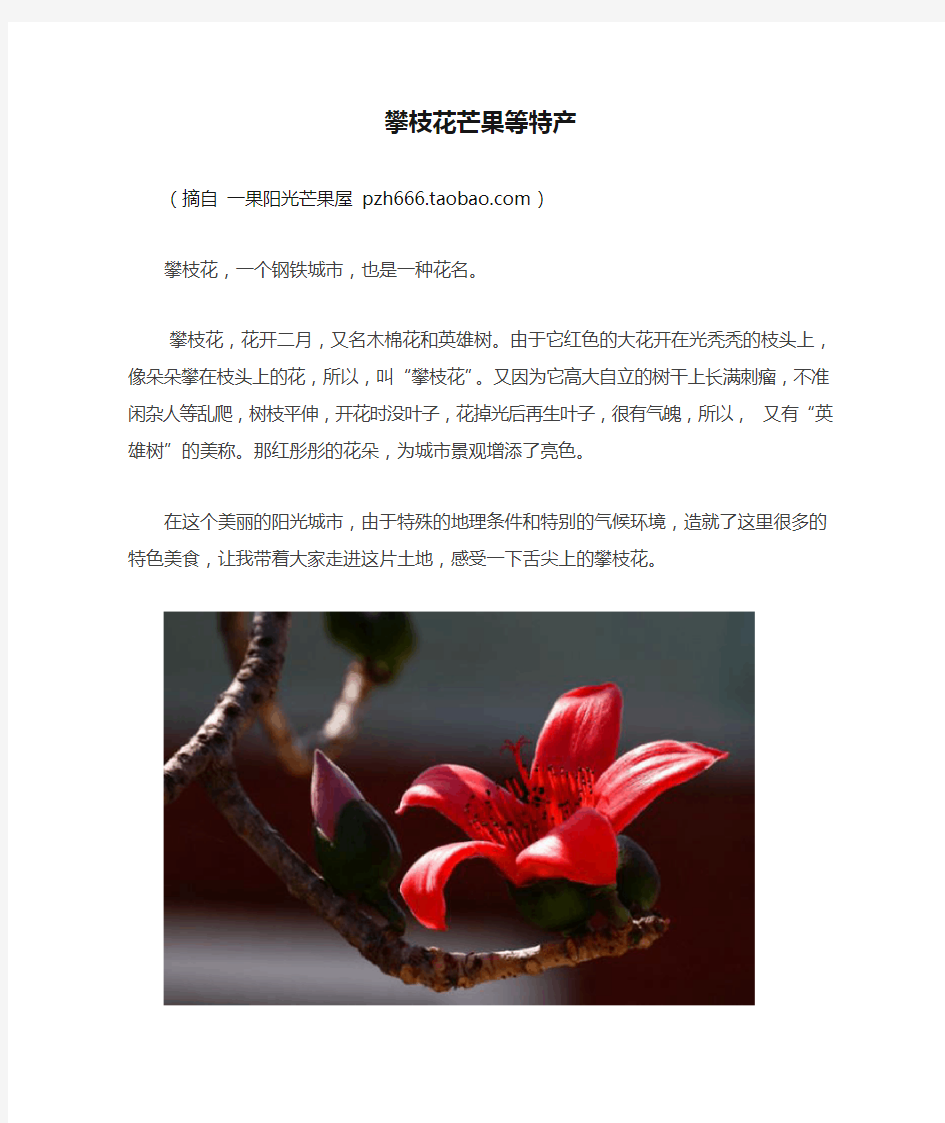 攀枝花芒果等特产(舌尖上的攀枝花)