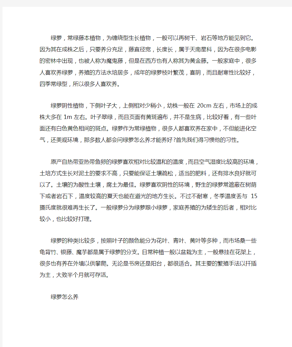 绿萝的养殖方法