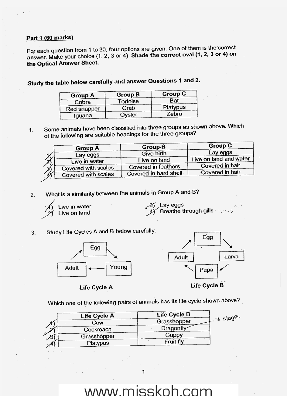 primary5-scgs-science新加坡名校小学五年级科学