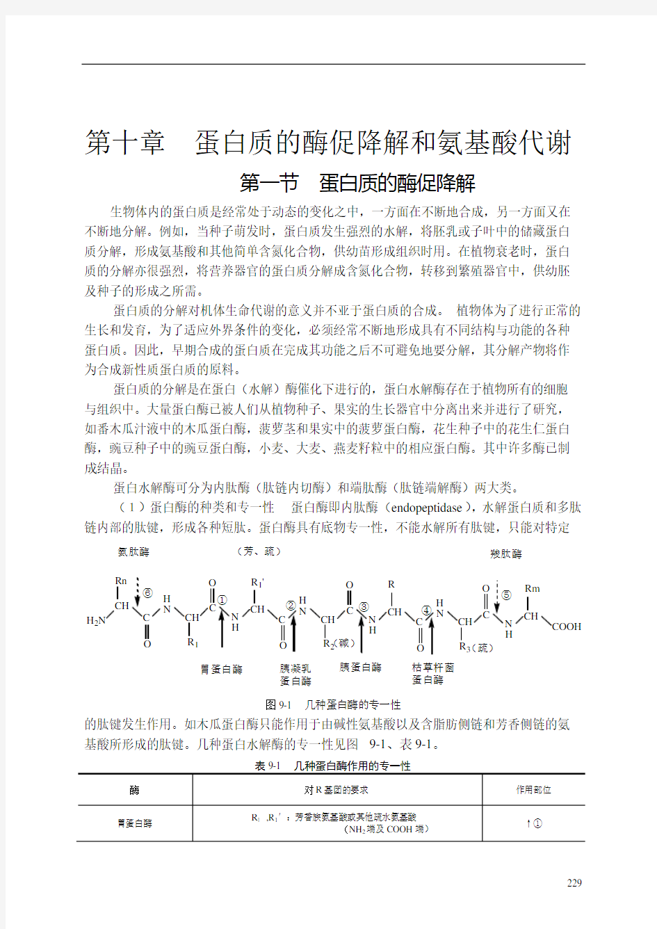 第十章  蛋白质的酶促降解和氨基酸代谢(1)