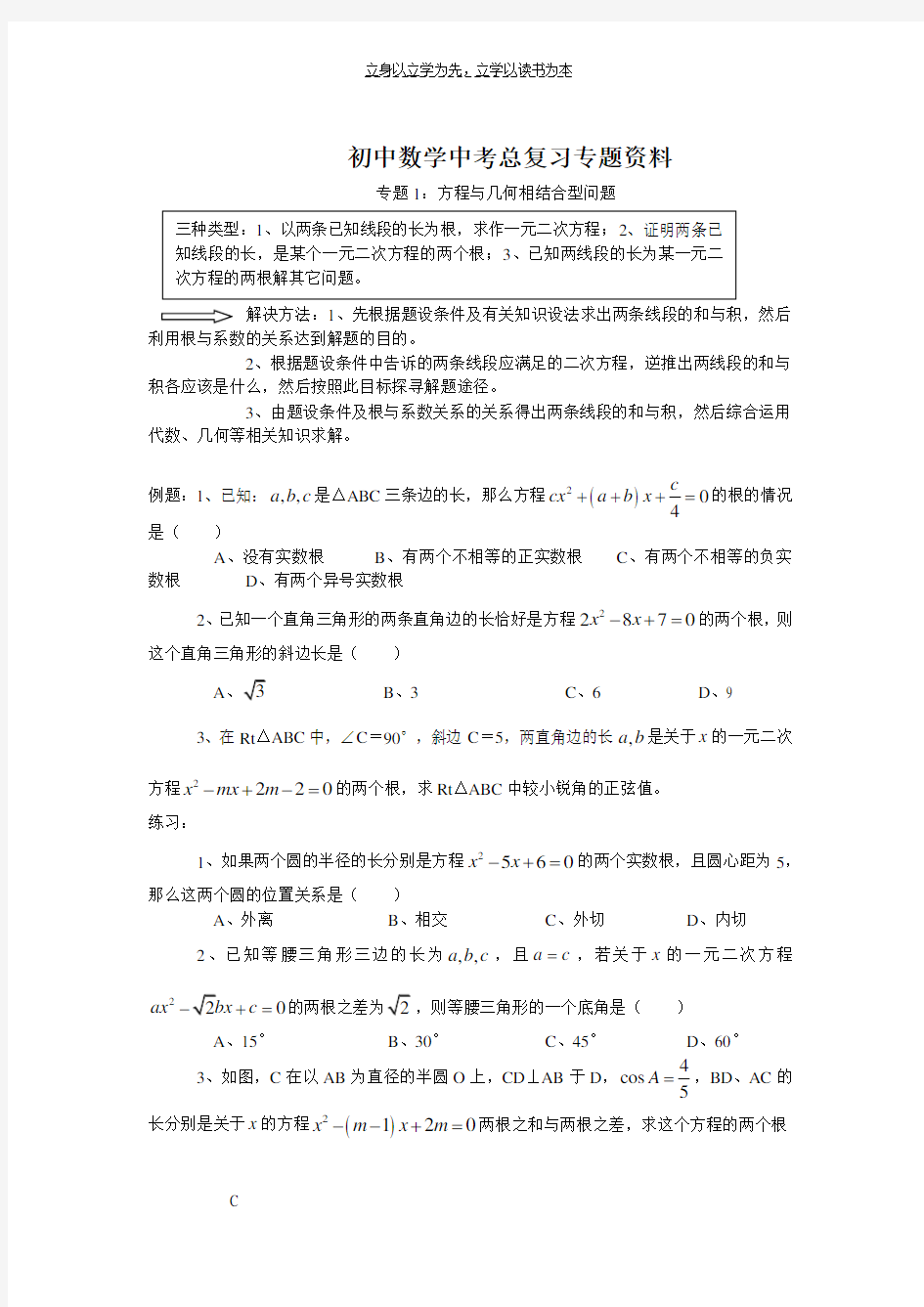 初中数学中考总复习专题资料