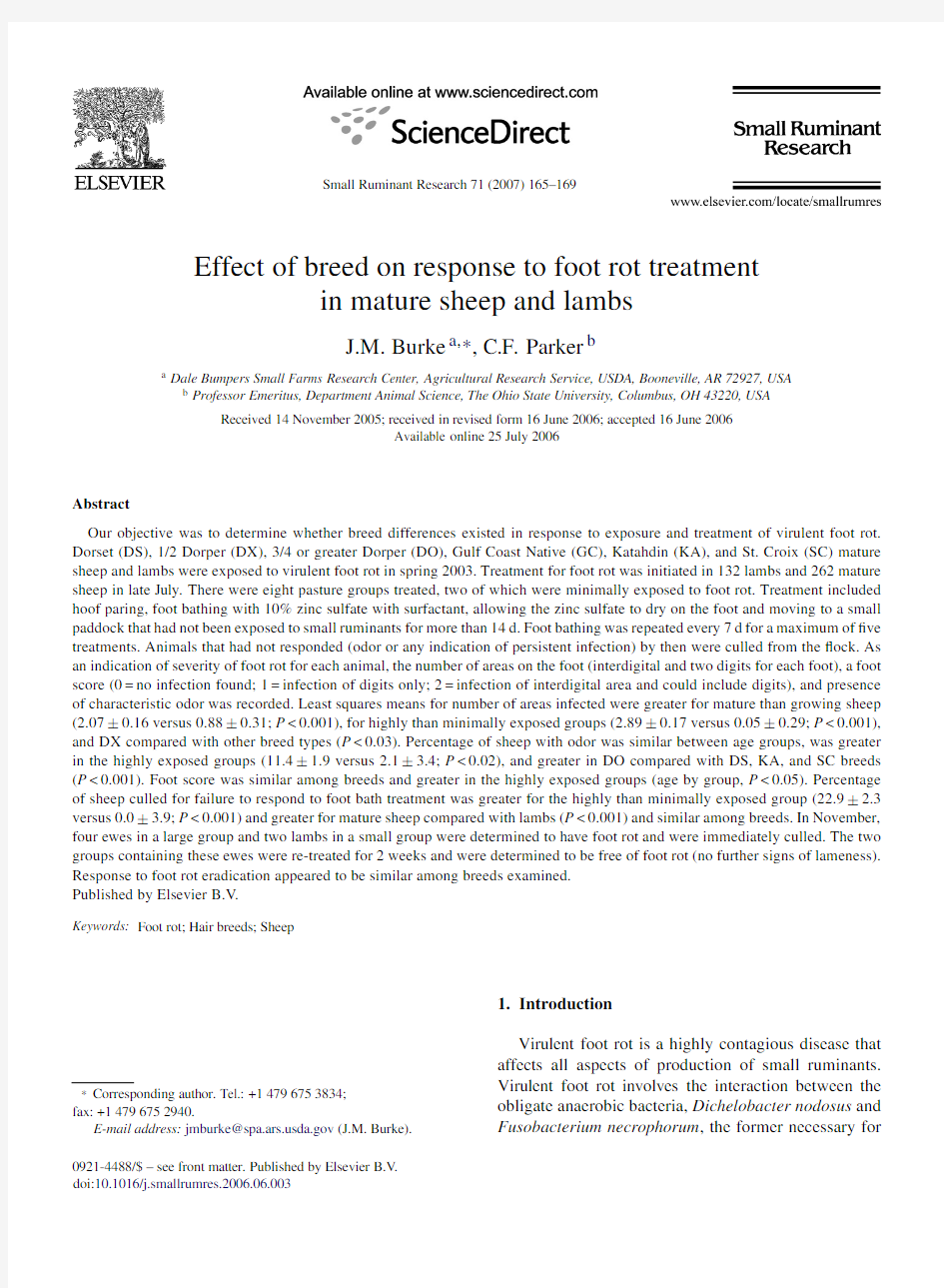 Effect of breed on response to foot rot treatment in mature sheep and lambs