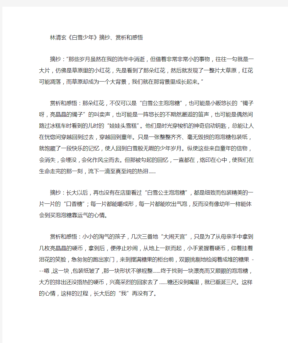 林清玄白雪少年摘抄赏析