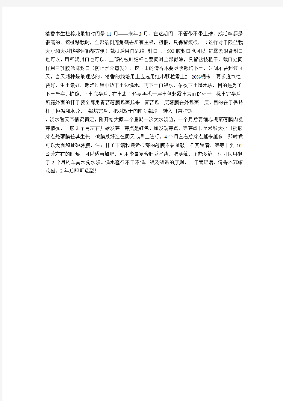 清香木生桩移栽最加时间是11月