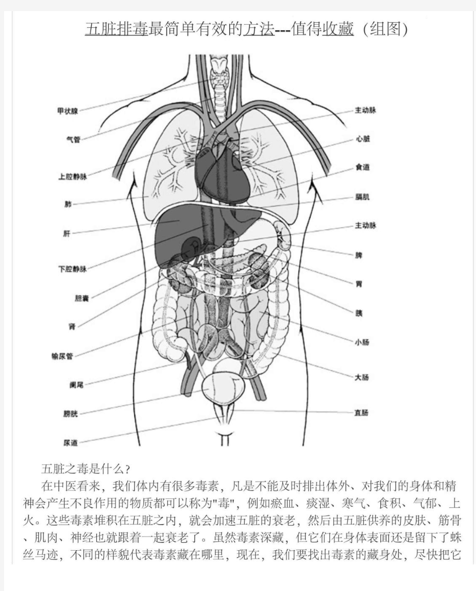 五脏排毒最简单有效的方法--值得收藏+(组图)