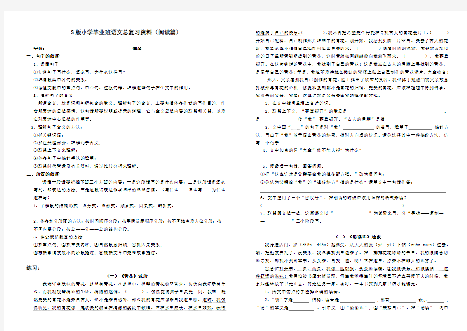 S版小学语文毕业班总复习资料(阅读)(修)