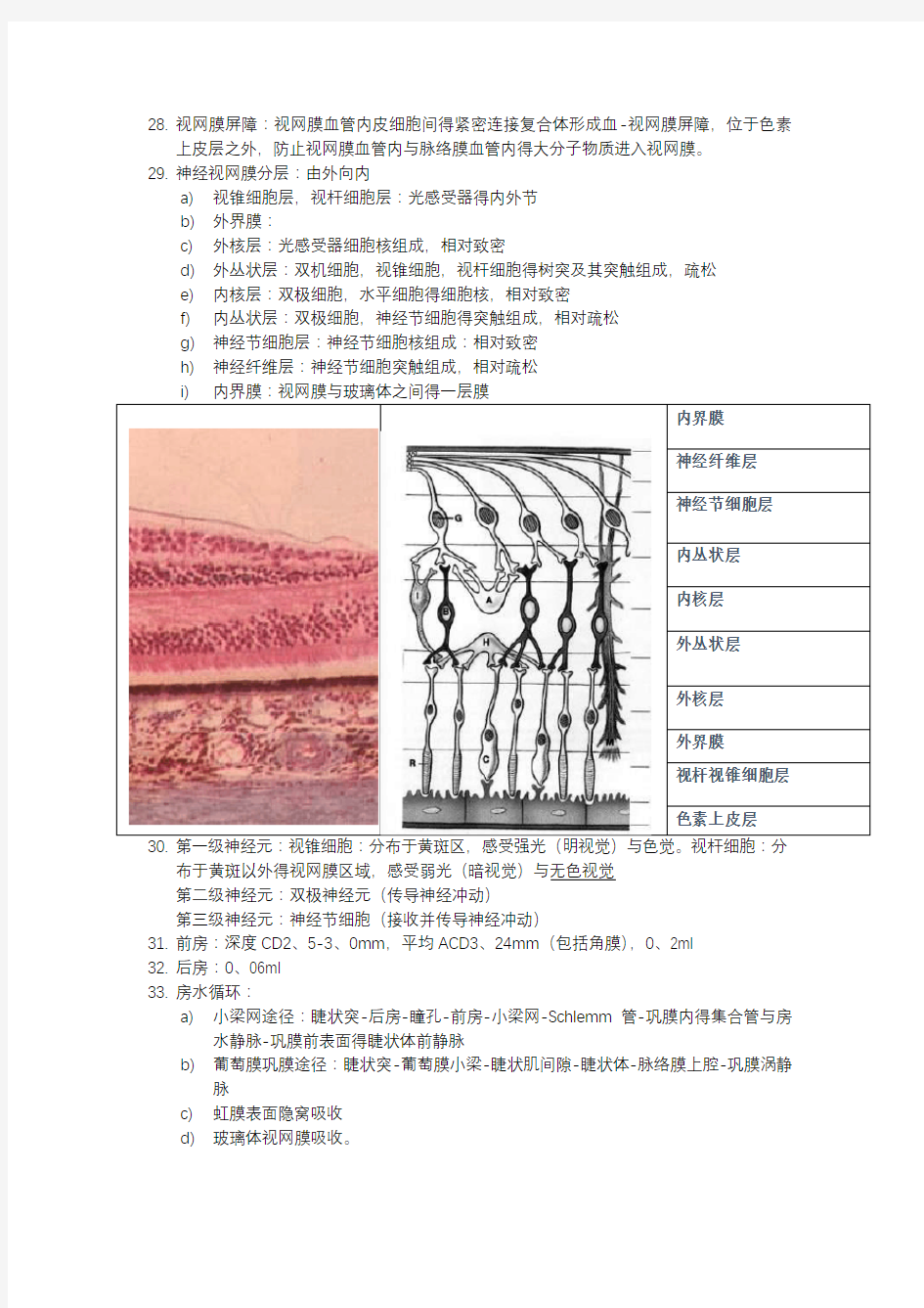 眼科知识总结-眼的应用解剖和生理