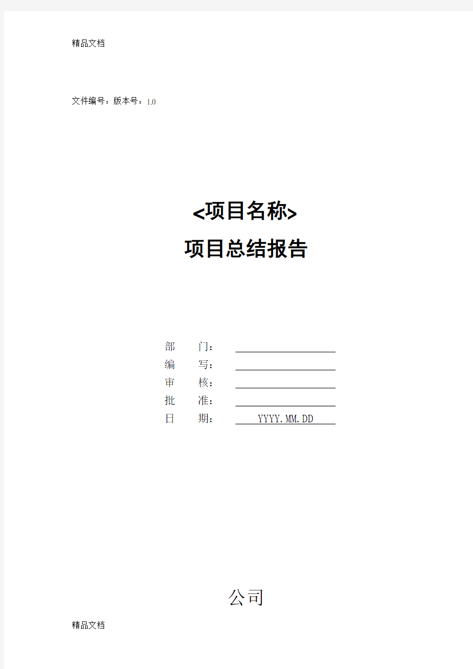 最新项目总结报告模板