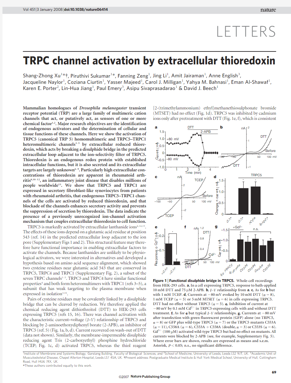 TRPC channel activation by extracellular thioredoxin