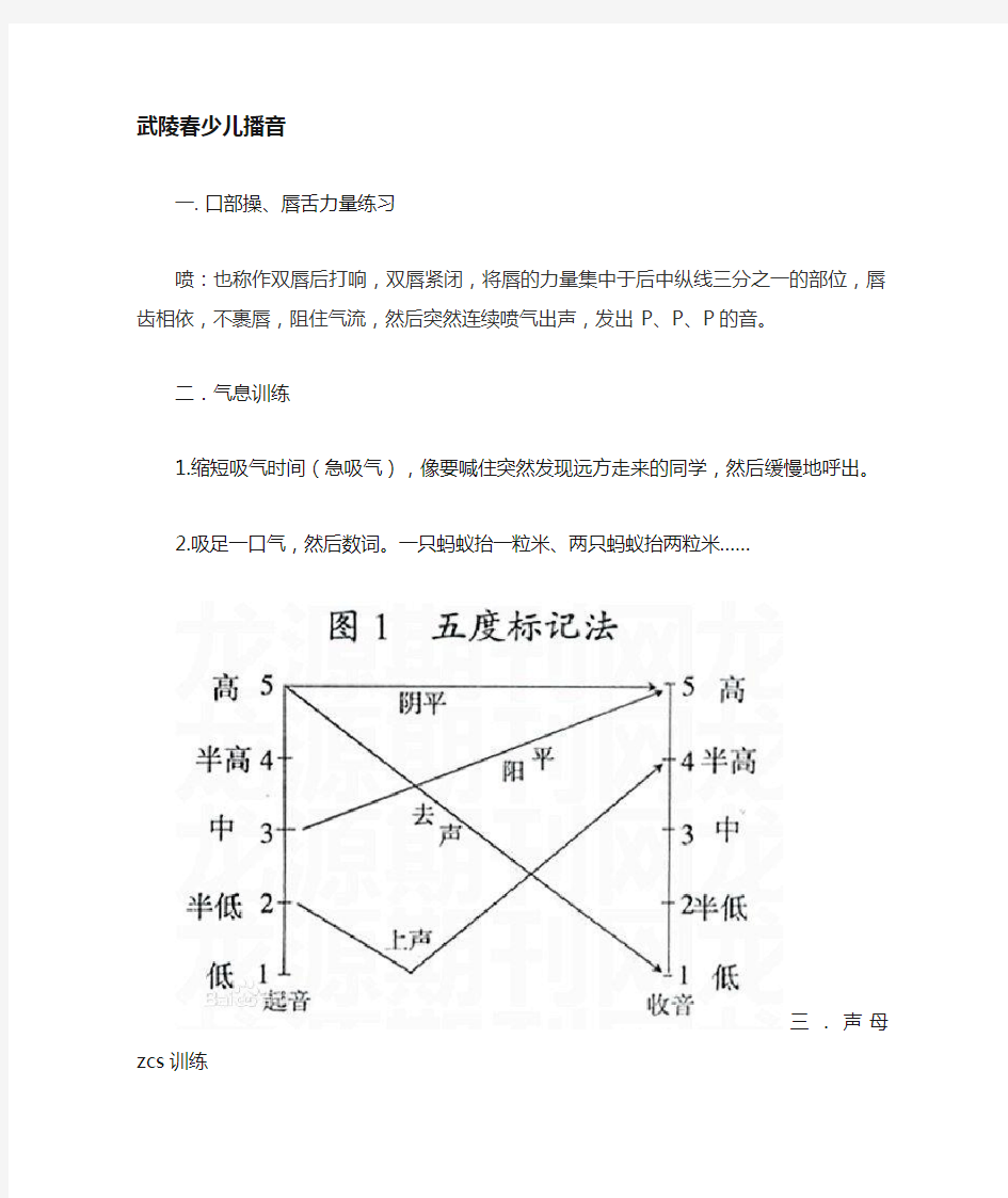 少儿播音主持课件