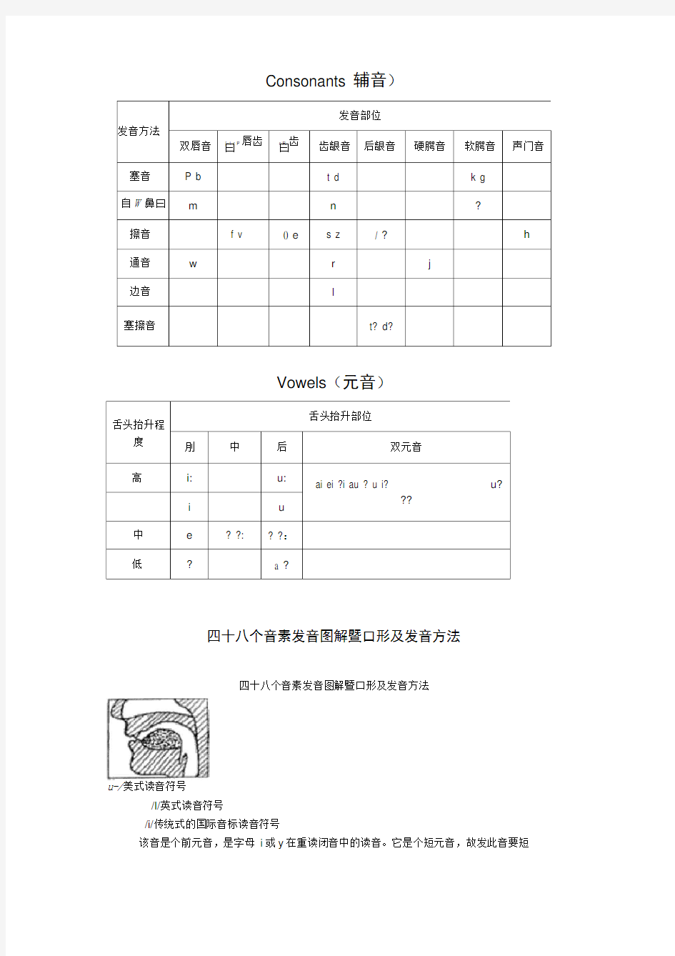 国际音标发音舌位图