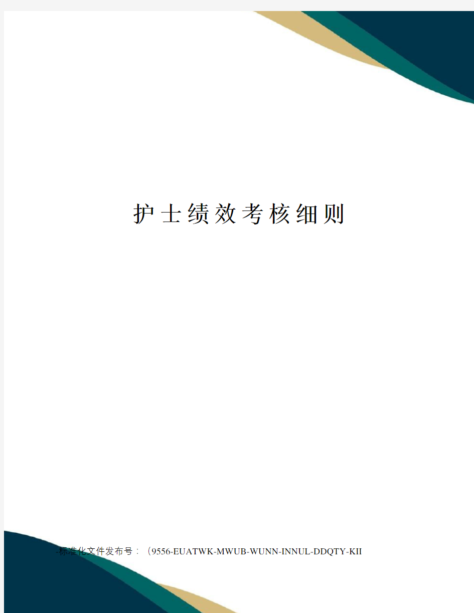 护士绩效考核细则