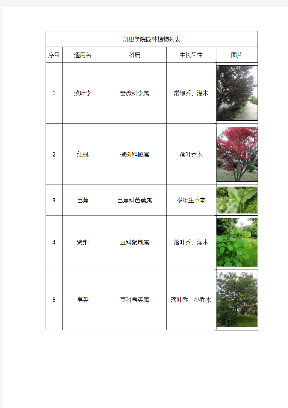 园林植物列表