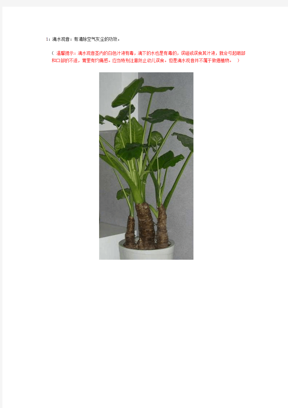常见室内植物图片及功效