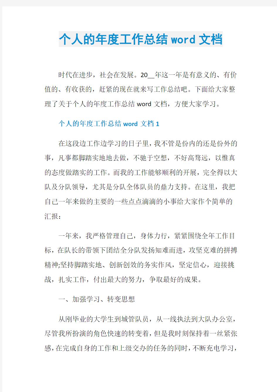 个人的年度工作总结word文档