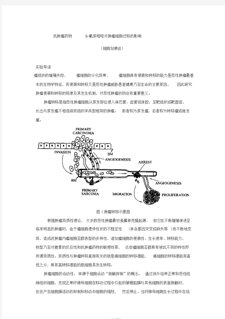 肿瘤细胞迁移实验(细胞划痕法)讲义