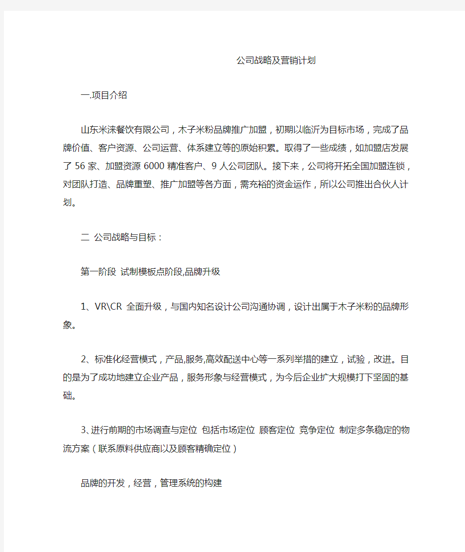 公司战略及营销计划