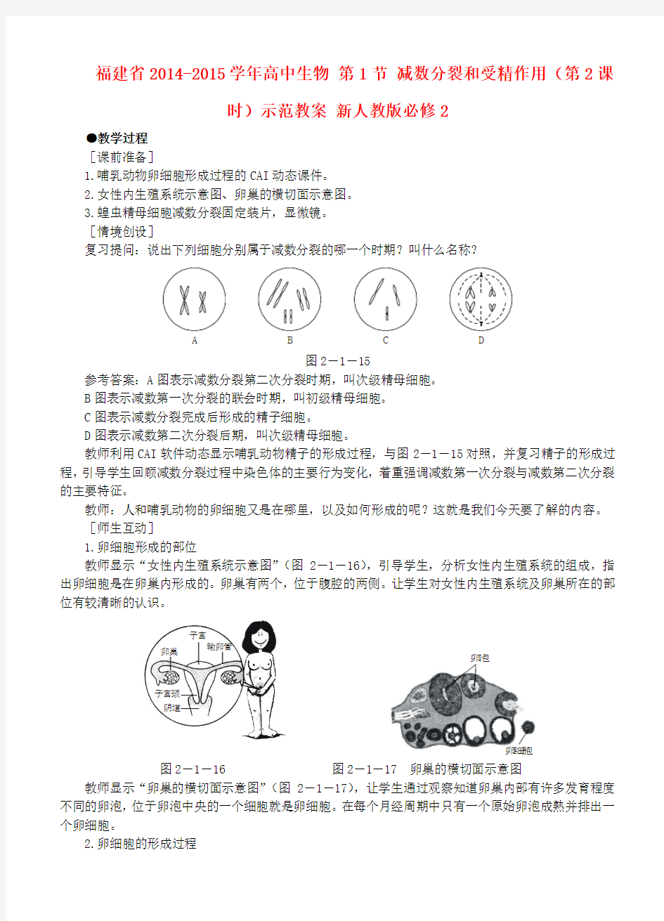 福建省高中生物 第1节 减数分裂和受精作用(第2课时)示范教案 新人教版必修2