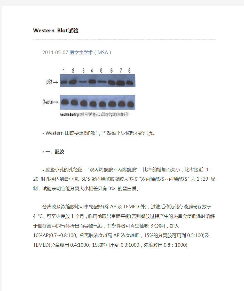 WB试验注意事项微信