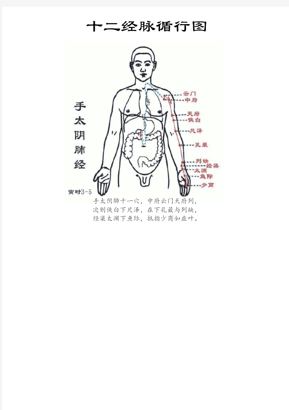 十二经脉穴位